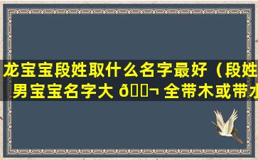 龙宝宝段姓取什么名字最好（段姓男宝宝名字大 🐬 全带木或带水）